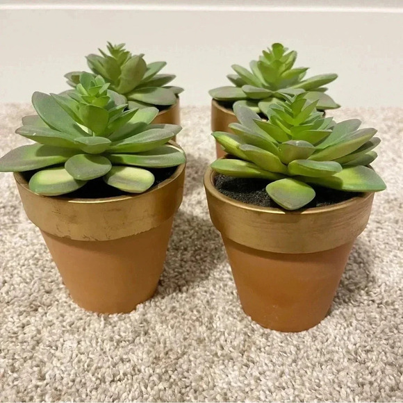 Set of 3 terracotta faux succulents new - Picture 2 of 12